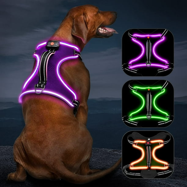 Arnés LED para perros Vizbrite Light Up, recargable, para perros