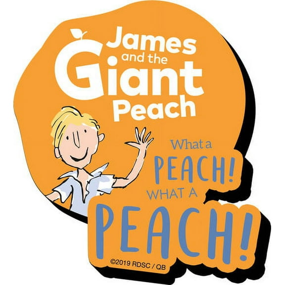 Dahl- Peach Funky Chunky Magnet