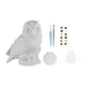 thumbnail image 1 of Kit de pintura de animales para pintar modelos de animales con pigmentos, suministros de arte, pintura DIY Búho, 1 of 9