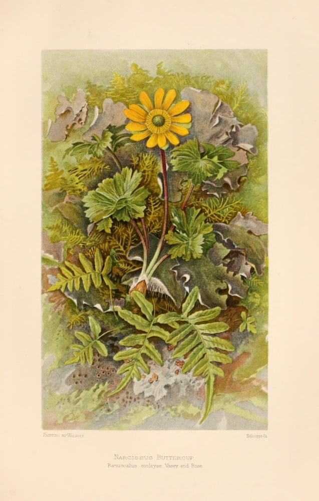 Harriman Alaska 191