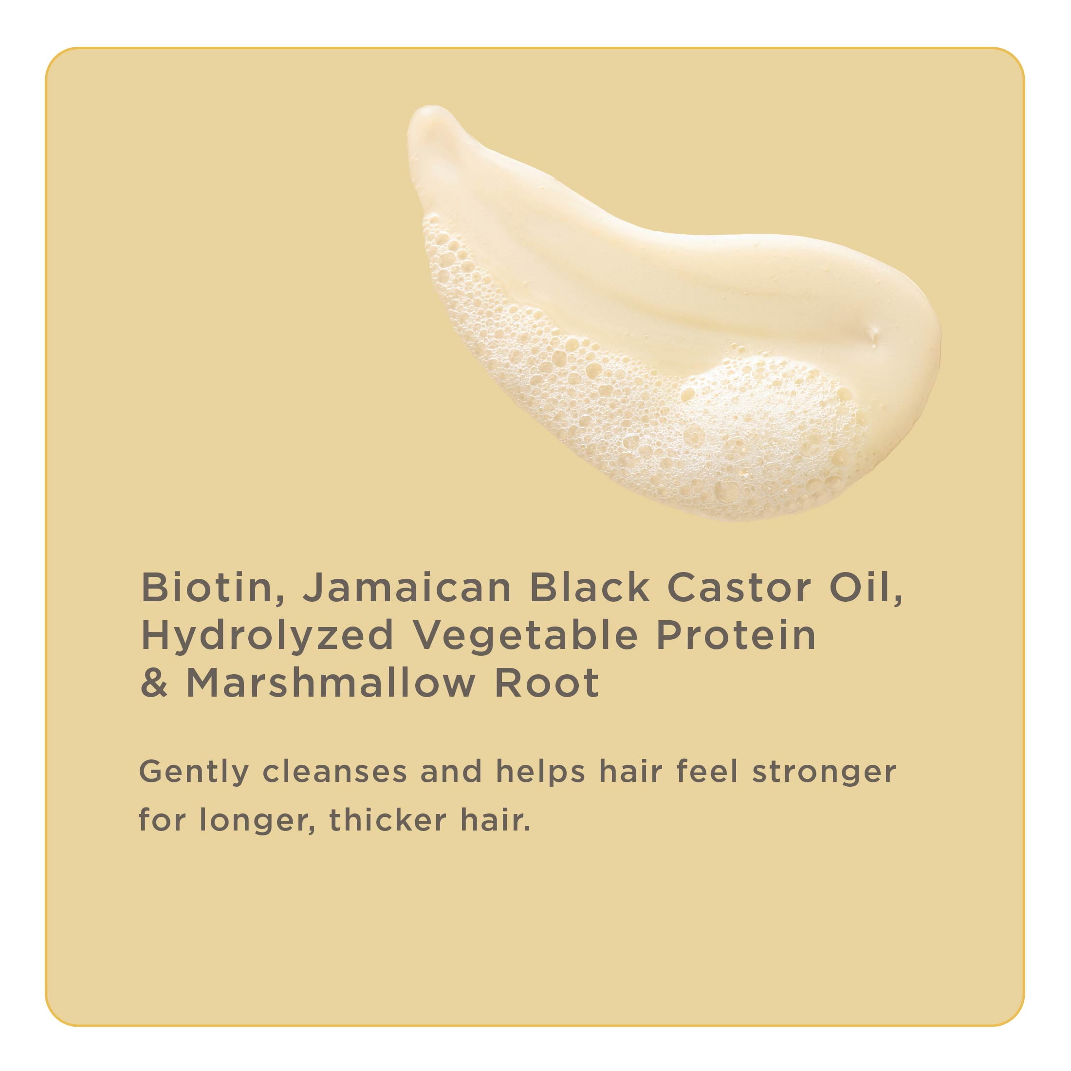 Hairitage Length Check Biotin & Castor Oil Shampoo and Conditioner 2Pack for Hair Growth and Volume (图3)