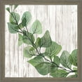thumbnail image 2 of Great Art Now Eucalyptus & Leaves on White by Cindy Jacobs, 2 Piece Framed Art Set Each 13"W x 13"H, 2 of 3