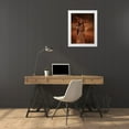 thumbnail image 3 of Babette 12x14 White Modern Wood Framed Museum Art Print Titled - Fairy 35, 3 of 4
