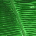 thumbnail image 1 of Ahgly Company Machine Washable Indoor Square Transitional Green Area Rugs, 6' Square, 1 of 7