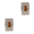 thumbnail image 2 of Bewildely Materiales respetuosos con el medio ambiente para un espécimen de escarabajo avispa araña escorpión seguro y confiable Type4 NO4, 2 of 6