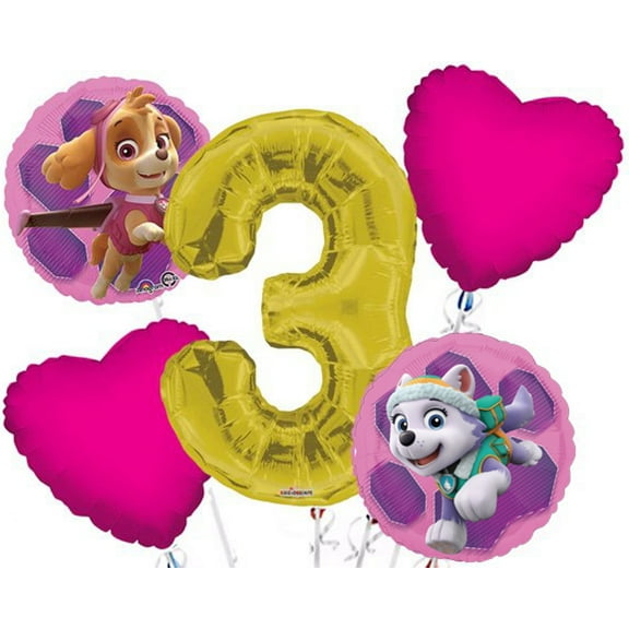 Paw Patrol Girl Balloon Bouquet 3rd Birthday 5 pcs - Party Supplies