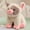 C, variant on Cute Plush Pig Stuffed Animal, Soft Polyester Fiber Pig Plush Toy for Kids 3+, Washable Indoor Outdoor Plush Doll for Home Decor and Gifting