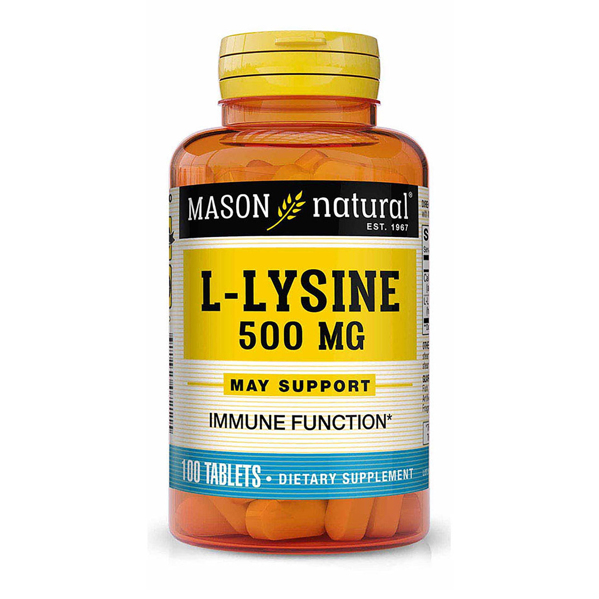 Mason Natural L-Lysine 500 mg with Calcium - Improved immune Function, Enhanced Nutrient Absorption, Essential Amino Acid, 100 Tablets