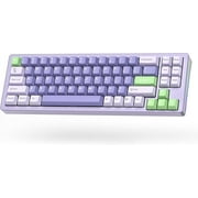 Womier S-K71 68% Aluminum Purple Mechanical Keyboard for Gaming Enthusiasts, Akko CS Key Switches, Computer Hardware