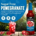 thumbnail image 2 of Syruvia Pomegranate Sugar Free Cocktails Syrup 25.4 Fl. Oz With Pump, 2 of 7