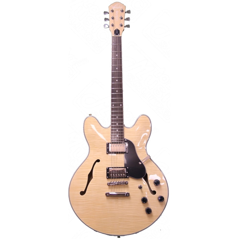 Oscar Schmidt Delta King Semi Hollow Electric Guitar, 2 Pickups