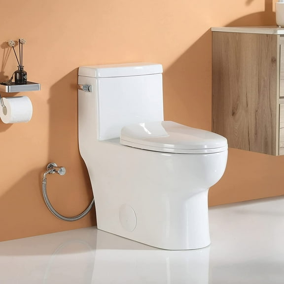 HOROW One Piece Toilet,1.28 GPF,12'' Rough-in Single Side Flush Ceramic MAP 800g,with Soft Closing Seat