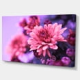 thumbnail image 2 of Chrysanthème Automnal Coloré - Impression sur Toile Florale, 2 of 4
