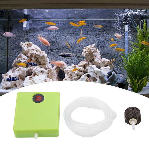 Pompe à air à piles pour aquarium ou pour la pêche