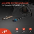 thumbnail image 2 of A-Premium O2 Oxygen Sensor Compatible with Ski-Doo, Victory & Can-Am Models - Grand Touring 900, Renegade 900, Cross Country, Gunner, Commander 1000, Defender HD10, Maverick Trail 800, Outlander 450, 2 of 5