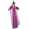 thumbnail image 1 of Lipstore Halloween Hanging Witch Animated Talking Witch Sound Activated Luminous Light up, 1 of 7