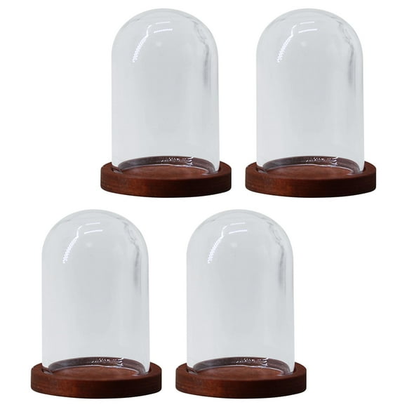 4 piezas de cúpula de vidrio, contenedor de cúpula de exhibición de vidrio DIY con base de madera Base domo marrón