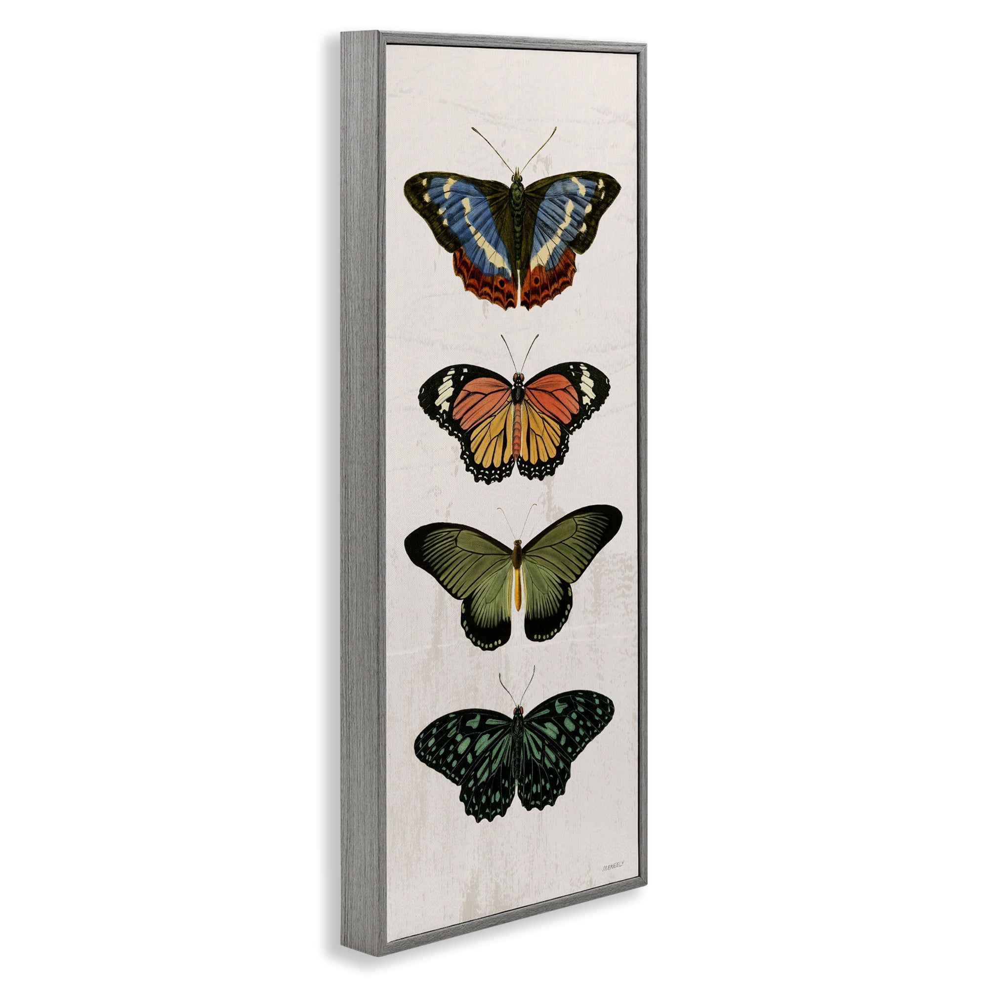Stupell Industries Butterfly Lineup Vintage Gray Framed Giclee Art, design by Dan Meneely