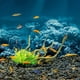 thumbnail image 4 of Adhesivo decorativo de fondo submarino con diseño de peces para decoración de pared S, 4 of 6