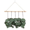thumbnail image 1 of Moyic Simulación Planta verde Decoración Hogar Fiesta al aire libre Eucalipto Plantas verdes Adorno Plástico Plantas verdes Decoración para la Decoración del hogar Numero 3 Moyic HA027670-03, 1 of 6
