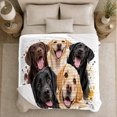 thumbnail image 5 of Playful Labrador Retriever Group Portrait, Playful Pet Portrait Pattern, Warm Flannel Blanket for Living Room and Bedroom, Dog Lovers person's Day Gift, Pet Lover Home Decor, 5 of 9