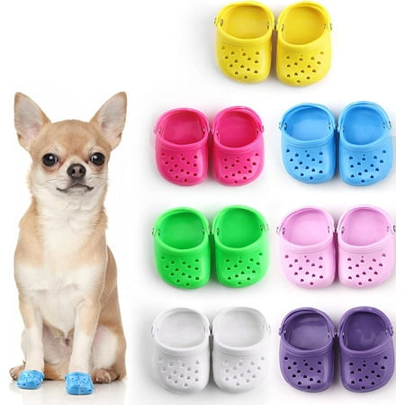 Dog Crocs