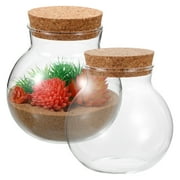 Micro Landscape Ecological Bottle Air Plant Holder Glass Terrarium Jars Plants Bedroom Decoration Bling Vase