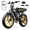 R9-Yellow-15AH, variant on TST Electric Bike for Adults, 750W Motor, 20"x4" Fat Tire E Bicycle, E Mountain Bike, 48V/15AH, Tested to UL2849 Standard by SGS