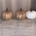 thumbnail image 4 of Yuarrent Calabaza Modelos artificiales Espumas de interior Accesorios decorativos Artesanía Mini figurita festiva Halloween Otoño Adorno de acción de Kits de decoración para fiestas Tipo 1 Yuarrent HA043590-01, 4 of 6