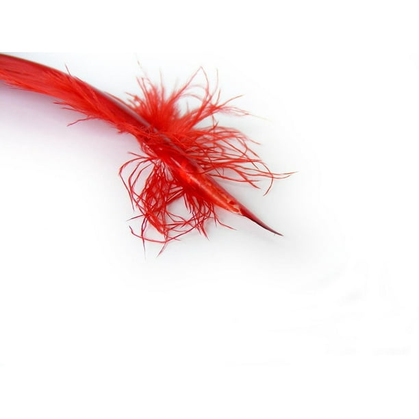 Writing Quill Tools Quills Feathers Red Writing12 Inch BY 18 Inch