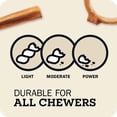 thumbnail image 5 of Redbarn Naturals Bully Stick 36" Dog Treat, 5 of 5
