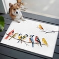 thumbnail image 5 of Birds Bathroom Rug Washable 2x3 Entryway Rug Non Slip Bird Vintage Watercolor Front Door Mat Low Pile Indoor Doormat Throw Floor Carpet for Kitchen Bedroom Entrance, 5 of 8