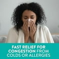 thumbnail image 2 of Vicks Sinex Severe Nasal Spray with Menthol 0.50 oz (Pack of 2), 2 of 5