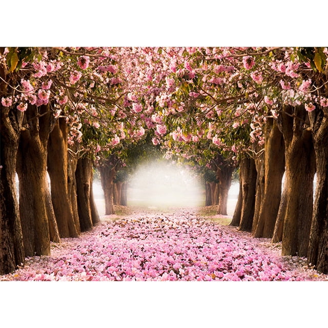 Valentine's Day Photography Backdrop, 125 X 80Cm - Qyaukm Valentine's Day Cloth Personality Photo Party Layout Props Photography Photo, 1 Photography Cloth