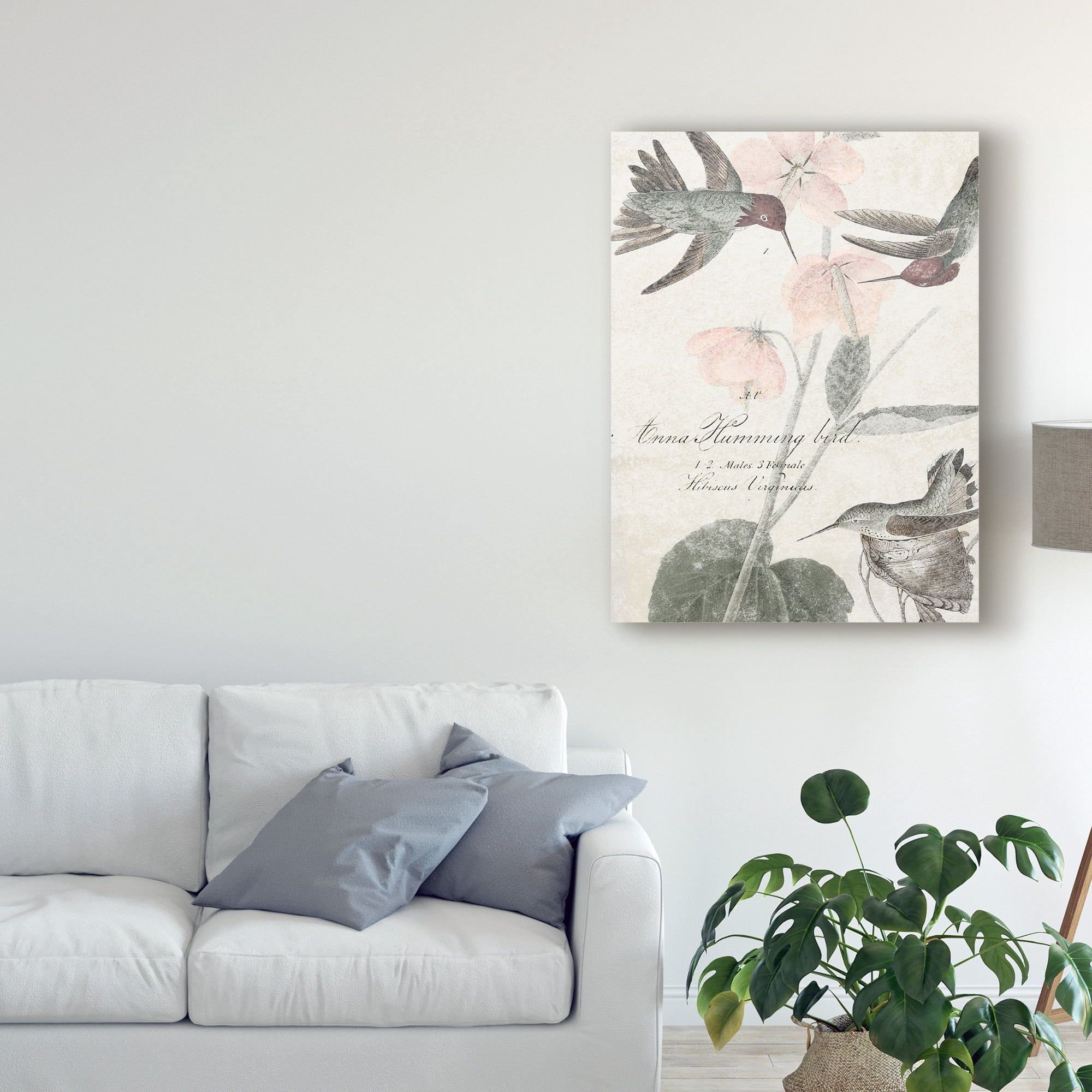 Trademark Fine Art 'Soft Hummingbirds I' Canvas Art by Studio W