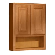 Coastal Collection Salerno Series 24'' W x 30'' H Wall Mounted Cabinet