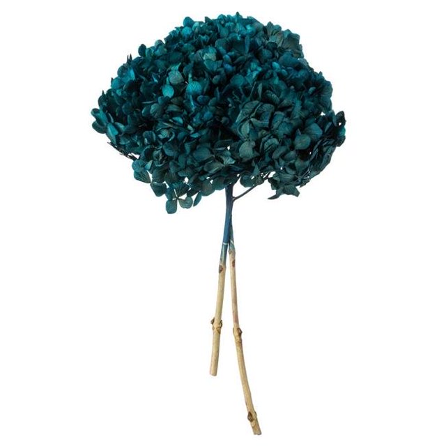 Vickerman H1HYD500 15-18 in. Blue Hydrangea Stems
