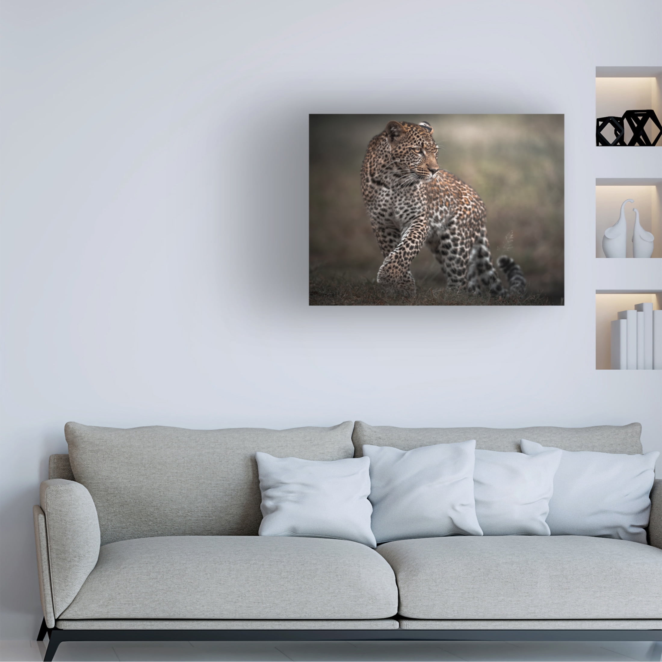 Trademark Fine Art Ahmed Sobhi Surprise Canvas Wall Art