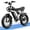 Q20 1500W, variant on Ridstar Q20 Fat Tire Electric Bikes for Adults,1200W 48V 15.6Ah Removable Battery E-Bike,30mph Off-Road Motorcycle,Full Suspension Mountain Bike UL 2849 Certified