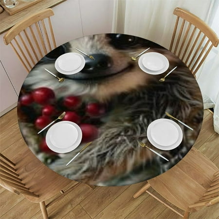 Akjvoe Cute Sloth Print Classic Round Table Cloth,Table Cover Waterproof Table Cloth Stain-Resistant Wipeable Round Table White
