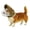 Camouflage, variant on Colenumone Dog Mask for Outdoor Safety - Vet-Recommended Mesh Field Guard for Protection Against Foxtails, Grass Seeds and Debris | Breathable, Lightweight, Adjustable Buckle Design