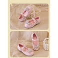thumbnail image 4 of Girls Dress Shoes Wedding Party Heel Mary Jane Princess Flower Shoes (30,Pink), 4 of 7