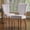 Grey, variant on iNSPIRE Q Alamosa Traditional Cherry Finish Velvet Parson Chair, Grey (Set of 2)