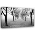 thumbnail image 1 of Monte Nagler 18x13 Gallery Wrapped Canvas Wall Art Titled - Tunnel of Trees, 1 of 4