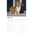 thumbnail image 3 of The Beauty of Welsh Corgis | 2024 14x24" (Hanging) Wall Calendar | StarGifts, 3 of 8