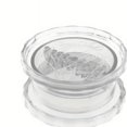 thumbnail image 1 of QJUHUNG Garlic Twist Crusher Box  Kitchen Essential for Effortless Garlic Crushing - Plastic Material ZZZ, 1 of 7