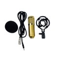 thumbnail image 4 of LEEYNEER Vocal Microphone Double-layer Elastic Mesh Golden 1Set  Conference and Performance, 4 of 8