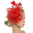 thumbnail image 2 of Visland Fascinators Hat Flower Mesh Ribbons Feathers on a Headband and a Clip Tea Party Headwear for Girls and Women, 2 of 5