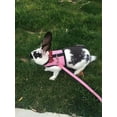 thumbnail image 6 of Bunny Kitten Harness No Pull Cat Leash Stylish Vest Harness, for Small Animal Adjustable Soft Breathable Walking Harness Set, 6 of 6