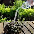 thumbnail image 5 of 8 Pcs Sprinkler Bottle Cap Plastic Watering Cans for Bottles Bonsai Watering Can Sprinkler Caps for Potted Plants, 5 of 5